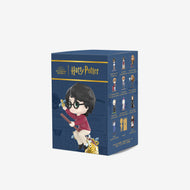 Harry Potter and the Sorcerer's Stone Series